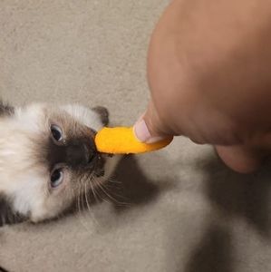 Meet your Posher, Marisol